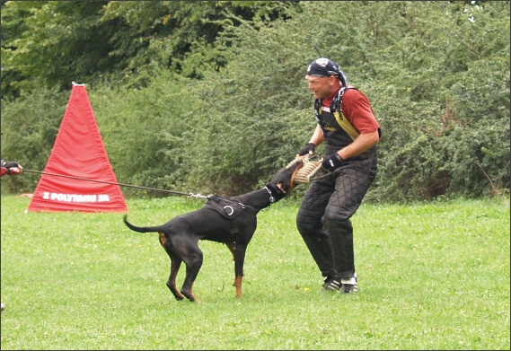 Summer training camp - Jelenec - 2007